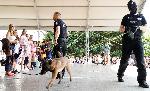 Хасково - Антидрога кампания - община Димитровград