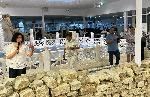 Ивайловград – Откриване на обновената антична вила Армира