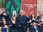 Видин - Музикални празници