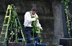 Видин - Оперни празници „Видин 2024“