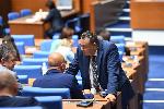 София- Заседание на НС-изключиха 17 депутати от ДПС