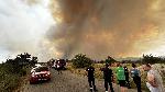 Свиленград - Пожар над село Студена