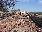 Свиленград - последствия от пожара в Сакар - с.Равна гора и с.Левка