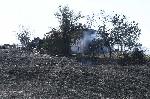 Ямбол - село Воден - последствията от пожара