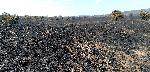 Село Крайново, Община Болярово – Последствия от пожара