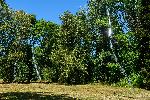 Парк Врана - Инсталацията „Steel grass“ (Стоманена трева)