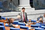 София - Заседание на Народното събрание