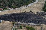 Благоевград - Загасен пожар край полигона