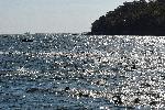 Варна - Плувен маратон <br />
<br />
Try star s<br />