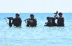 Варна - 145-та годишнина от създаването на<br />
Военноморските сили на Р България<br />
<br />
Try star s<br />