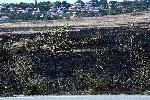 Бургас - Пожари