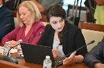 София - Комисия за дейността на Петьо Еврото и Мартин Божанов