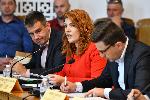 София - Парламентарна комисия за кмета на Доспат