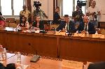 София - Парламентарна комисия за кмета на Доспат