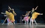 Бургас - Балет Лебедово езеро на Софийската опера и балет