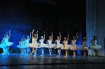 Бургас - Балет Лебедово езеро на Софийската опера и балет