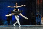 Бургас - Балет Лебедово езеро на Софийската опера и балет