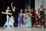 Бургас - Балет Лебедово езеро на Софийската опера и балет