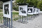София - фотоизложба Татяна Лолова