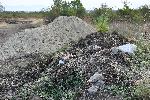 София - незаконно сметище - младост и горубляне