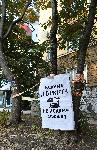 София - протест-изсичане на дървета-Опълченска