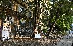 София - протест-изсичане на дървета-Опълченска