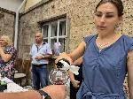 Плевен - Фестивал на виното
