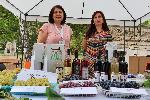 В Плевен днес започва Фестивалът на виното и фермерските деликатеси