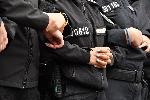 София, Бояна - Протестнво шествие на привърженици на Доган