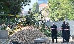 София-изсичане на дървета по Опълченска