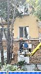 София-изсичане на дървета по Опълченска