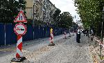 София-изсичане на дървета по Опълченска