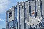 София - НДК - Международнен фестивал за уличен и куклен театър `Панаир на куклите` - Суей пол цветя /люлеещи се пилони/ - акробатичен спектакъл на Стенли Пагани и Луиза Душкова