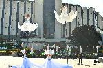 София - НДК - Международнен фестивал за уличен и куклен театър `Панаир на куклите` - Суей пол цветя /люлеещи се пилони/ - акробатичен спектакъл на Стенли Пагани и Луиза Душкова