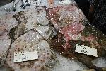 Бургас - пазар-черноморски-риби
