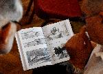 Варна -  Представяне на книга