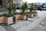 Бургас - Кашпи с растения- поетични послания