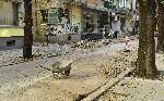 София - Ремонт-улица Гургулят