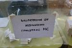 Ямбол - Ден на избори