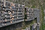 Видин - Антична Рациария