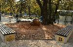 На столичния площад Вацлав Хавел поставиха скулптурата "Сърцето пътува"