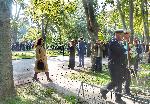 Варна - Ден на народните будители
