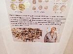 Видин - Изложба на дарители