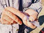 Уникална археологическа находка на 8 000 години откриха край село Майор Узуново