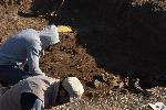 Видин - село Майор Узуново - археологически разкопки