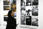 Бургас - фотоизложба на Националната художествена академия