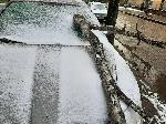 София - паднало дърво върху автомобил