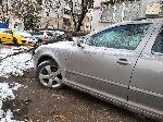 София - паднало дърво върху автомобил