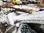 София - паднало дърво върху автомобил