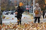 Варна  - Силен вятър